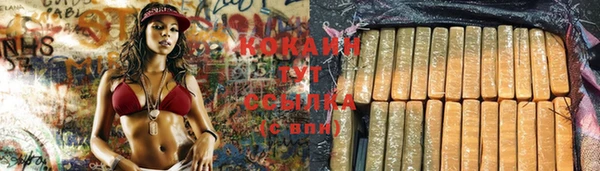 твердый Медногорск