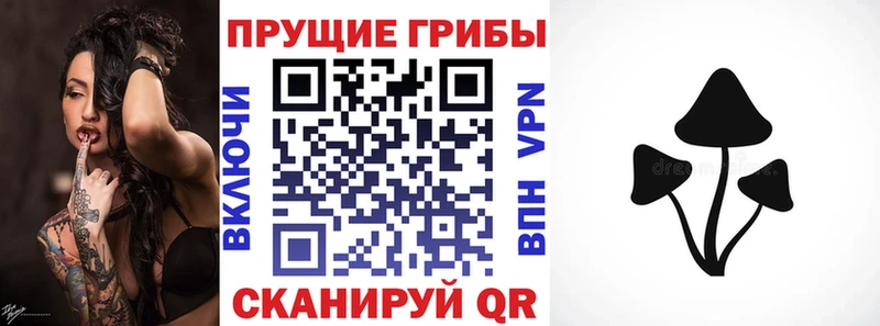 Купить где  Кашин  Псилоцибиновые грибы ЛСД 