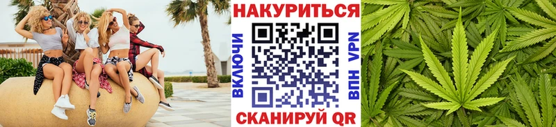 Купить где  Кашин  Конопля White Widow 